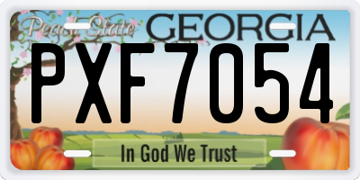 GA license plate PXF7054