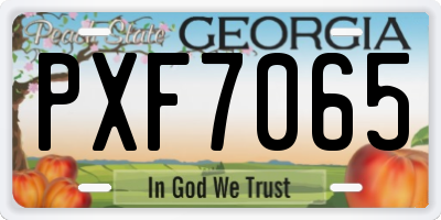 GA license plate PXF7065