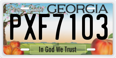 GA license plate PXF7103