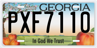GA license plate PXF7110