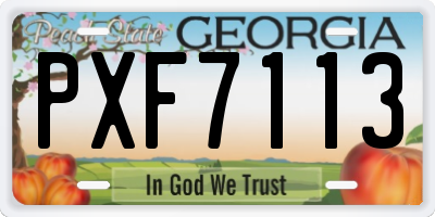 GA license plate PXF7113