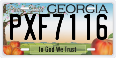 GA license plate PXF7116