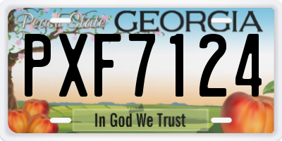 GA license plate PXF7124