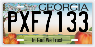 GA license plate PXF7133
