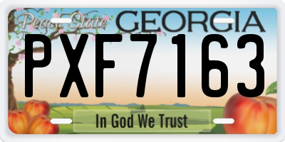 GA license plate PXF7163