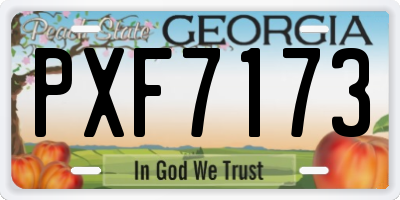GA license plate PXF7173