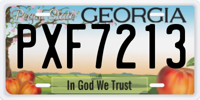 GA license plate PXF7213