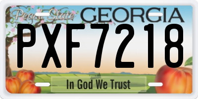 GA license plate PXF7218