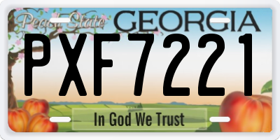 GA license plate PXF7221