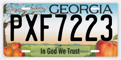 GA license plate PXF7223