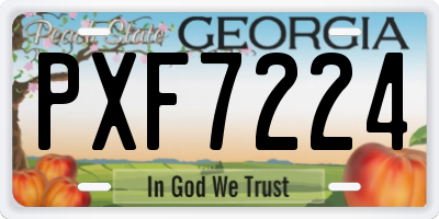 GA license plate PXF7224