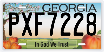 GA license plate PXF7228