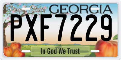 GA license plate PXF7229