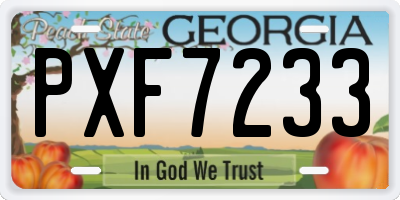 GA license plate PXF7233