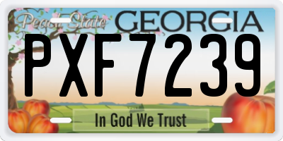 GA license plate PXF7239