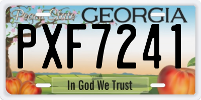 GA license plate PXF7241