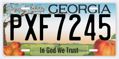 GA license plate PXF7245