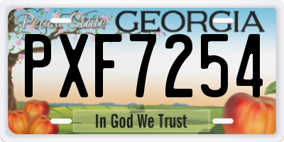 GA license plate PXF7254