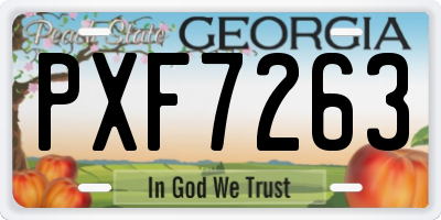 GA license plate PXF7263