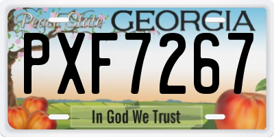 GA license plate PXF7267