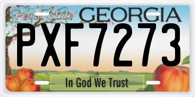 GA license plate PXF7273