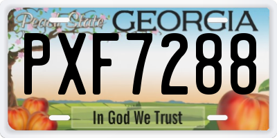 GA license plate PXF7288