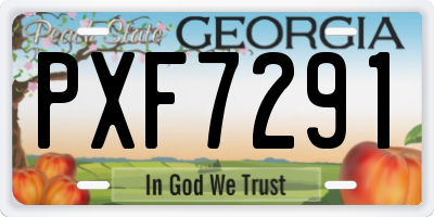 GA license plate PXF7291
