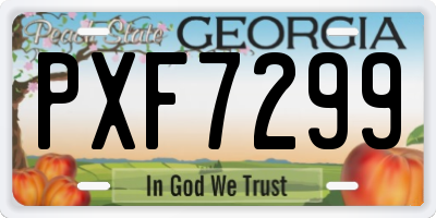 GA license plate PXF7299