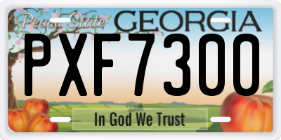 GA license plate PXF7300
