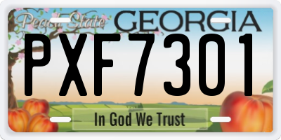 GA license plate PXF7301