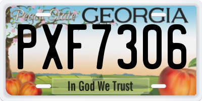 GA license plate PXF7306