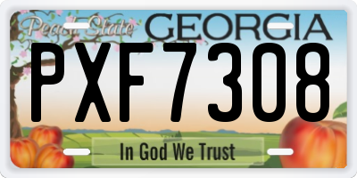 GA license plate PXF7308