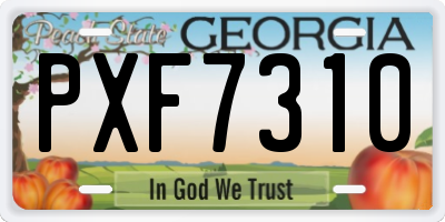 GA license plate PXF7310