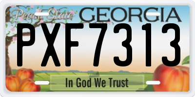 GA license plate PXF7313