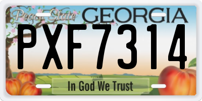 GA license plate PXF7314