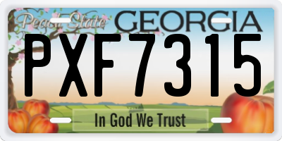 GA license plate PXF7315