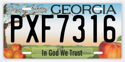 GA license plate PXF7316