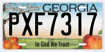 GA license plate PXF7317