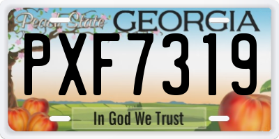 GA license plate PXF7319