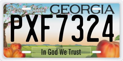 GA license plate PXF7324