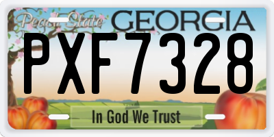 GA license plate PXF7328