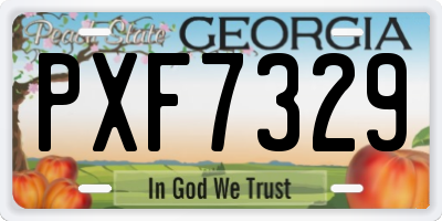 GA license plate PXF7329