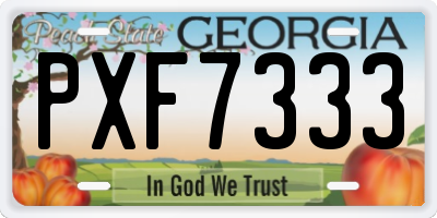 GA license plate PXF7333