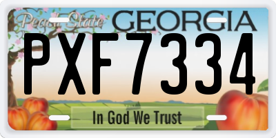 GA license plate PXF7334