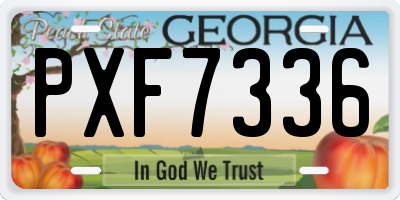 GA license plate PXF7336