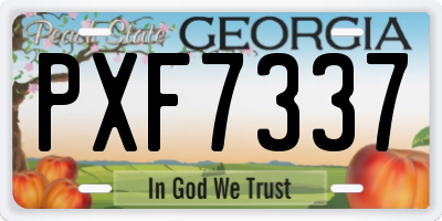 GA license plate PXF7337