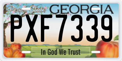 GA license plate PXF7339