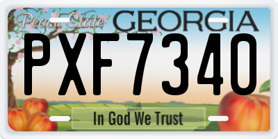 GA license plate PXF7340