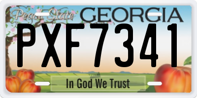 GA license plate PXF7341