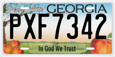 GA license plate PXF7342
